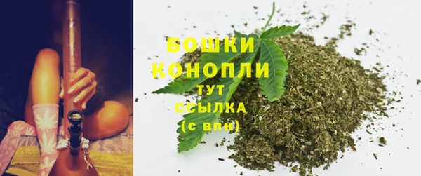 дмт Новодвинск