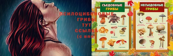 спайс Абаза