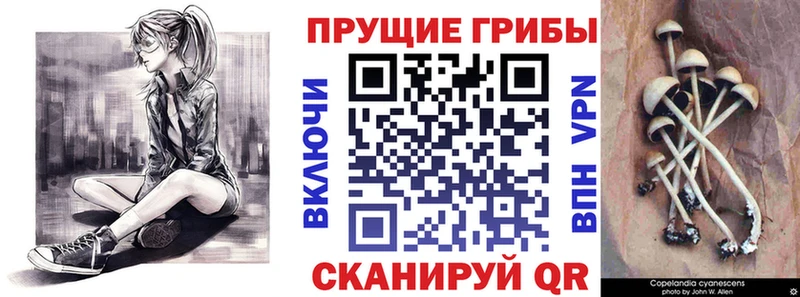 магазин  наркотиков  omg ССЫЛКА  Псилоцибиновые грибы Psilocybine cubensis  Зарайск 